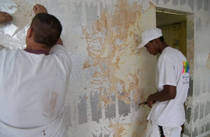 Wallpaper Removal and Installation-Grand Prairie TX Professional Painting Contractors-We offer Residential & Commercial Painting, Interior Painting, Exterior Painting, Primer Painting, Industrial Painting, Professional Painters, Institutional Painters, and more.